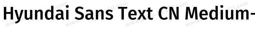 Hyundai Sans Text CN Medium字体转换